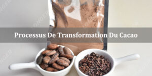 Processus De Transformation Du Cacao (De Fève Du Cacao À Poudre)