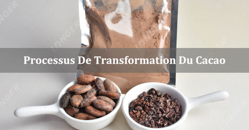 Guide de la transformation du cacao : Des fèves au produit final