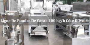 Ligne De Transformation De Poudre De Cacao 100 kg/h En Côte D'Ivoire