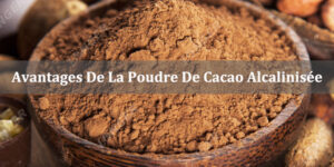 Avantages De La Poudre De Cacao Alcalinisée