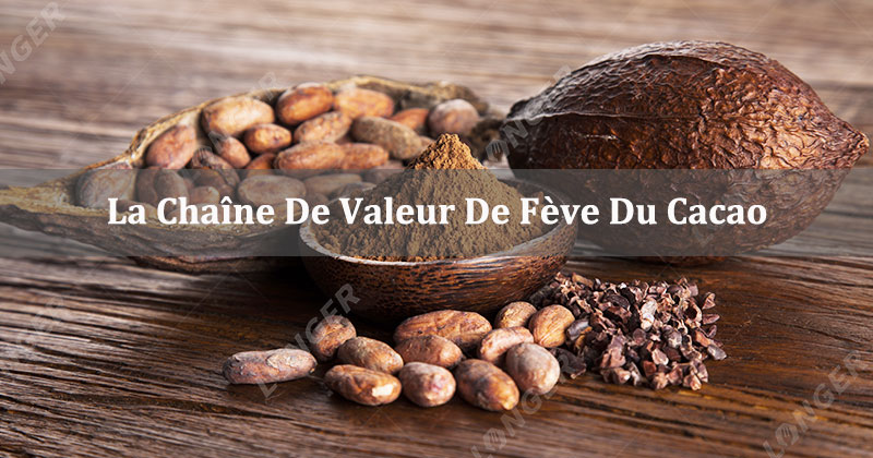 La Chaîne De Valeur De Fève Du Cacao