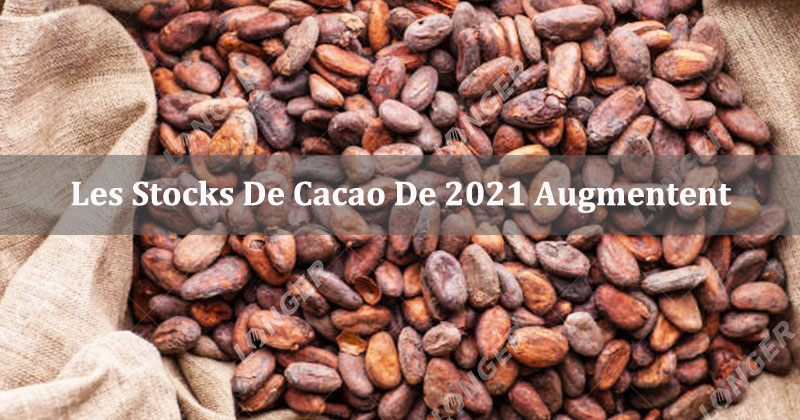 Les Stocks De Cacao De 2021 Augmentent De 449 000 Tonnes
