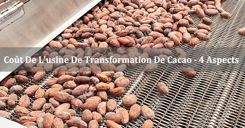 Coût De L'usine De Transformation De Cacao - 4 Aspects