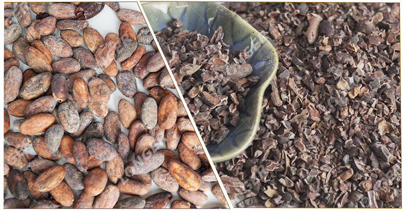 Torréfaction Et Pelage Du Cacao