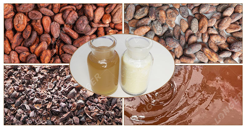 Fabrication Du Beurre De Cacao - 5 Étapes