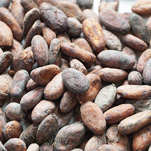 Fèves-De-Cacao-Grillées