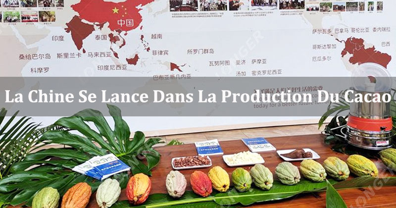 La Chine Se Lance Dans La Production Du Cacao