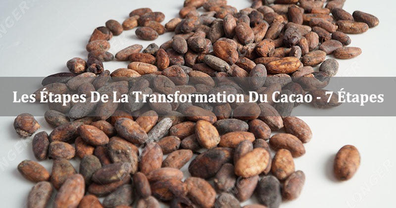 Les Étapes De La Transformation Du Cacao - 7 Étapes