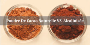 Poudre De Cacao Alcalinisée VS Poudre De Cacao Naturelle