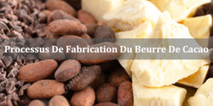Processus De Fabrication Du Beurre De Cacao