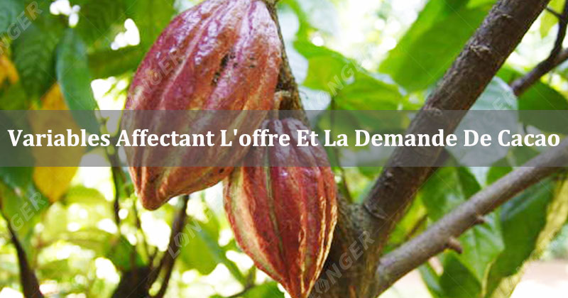 Variables Affectant L'offre Et La Demande De Cacao Mondiale En 2022