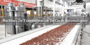 Machines De Transformation Du Cacao Automatiques Vendues En Côte D'Ivoire