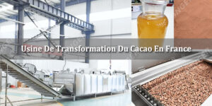 Usine De Transformation De Cacao En France