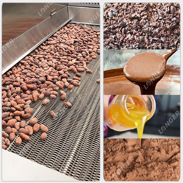 Usine De Transformation De Cacao En Beurre Poudre