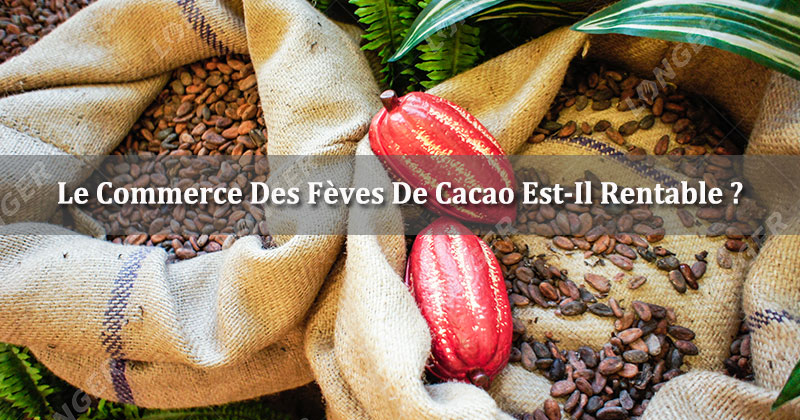 Le Commerce Des Fèves De Cacao Est-Il Rentable