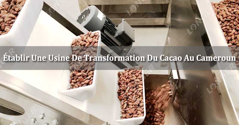Établir Une Usine De Transformation Du Cacao Au Cameroun