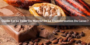Le marché de la transformation du cacao