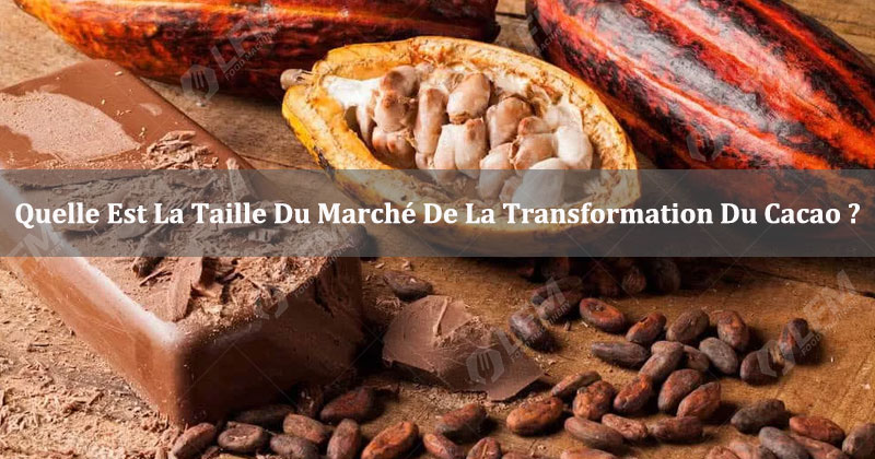 Le marché de la transformation du cacao
