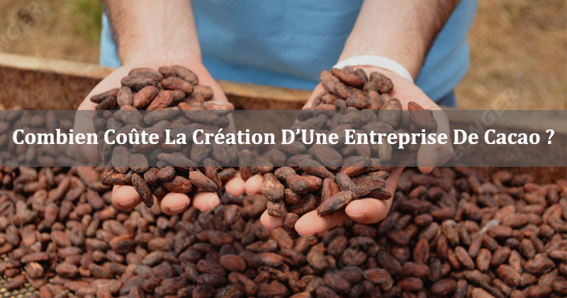 Combien Coûte La Création D’Une Entreprise De Cacao