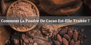 Comment La Poudre De Cacao Est-Elle Traitée ?