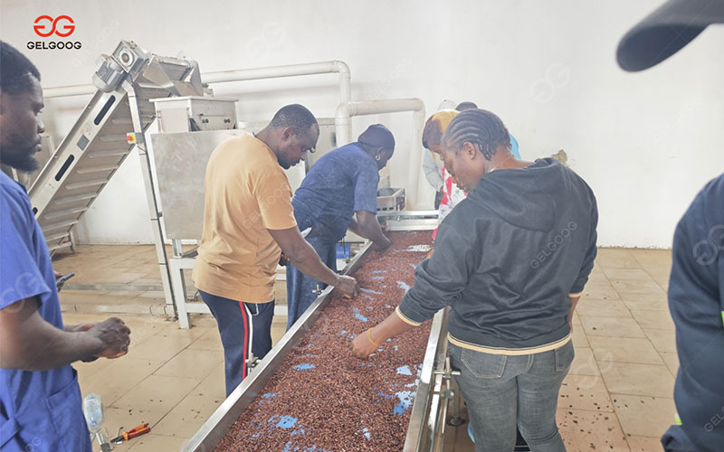 Essais de production de poudre de cacao