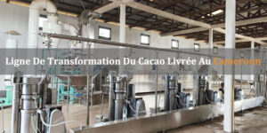 Ligne De Transformation Du Cacao Livrée Au Cameroun