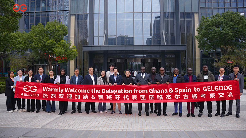 Délégations gouvernementales ghanéenne et espagnole