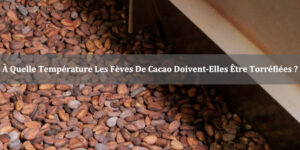 À quelle température les fèves de cacao doivent-elles être torréfiées ?
