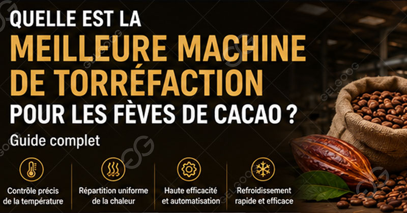 Quelle est la meilleure machine de torréfaction pour les fèves de cacao