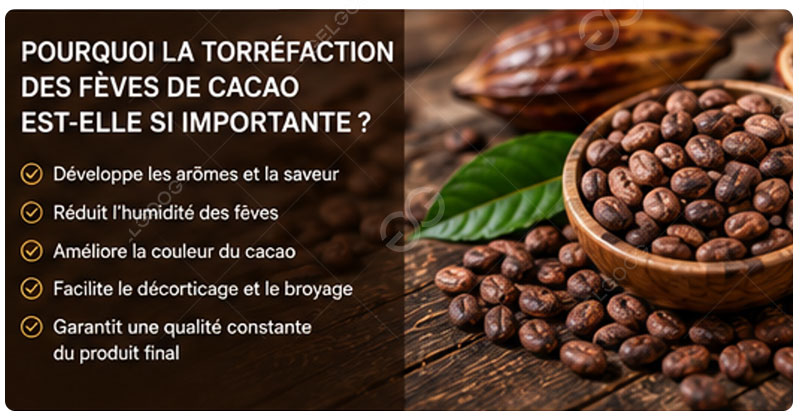Pourquoi la torréfaction des fèves de cacao est-elle si importante