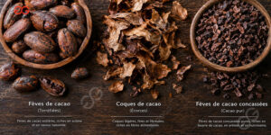 Decorticage industriel-des feves de cacao