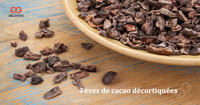 Feves de cacao decortiquees