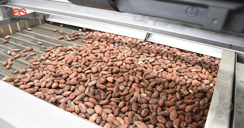 Machine industrielle de torréfaction de cacao