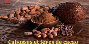 Cabosses et fèves de cacao