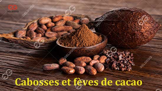 Cabosses et fèves de cacao