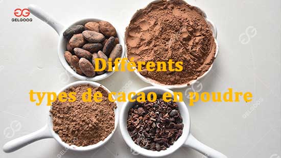 Différents-types-de-cacao-en-poudre