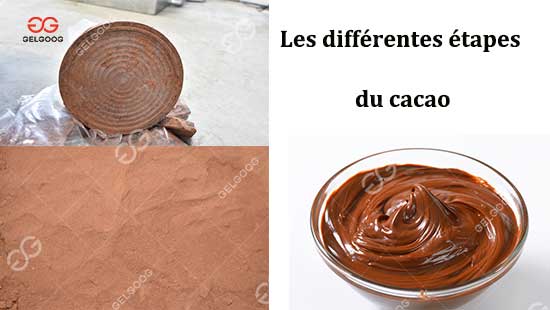Les-différentes-étapes-du-cacao