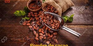 Poudre-de-cacao