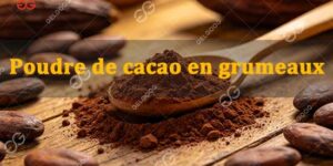 Poudre-de-cacao-en-grumeaux